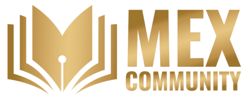 learninsights logo (500 × 200 px) (6)